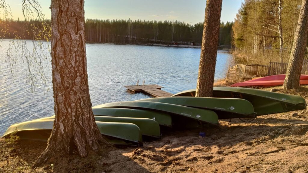 kanootteja rannalla ja puita