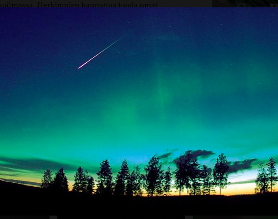 tähdenlento yötaivaalla, metsää