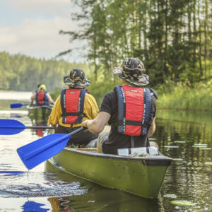 melontaa avokanooteilla