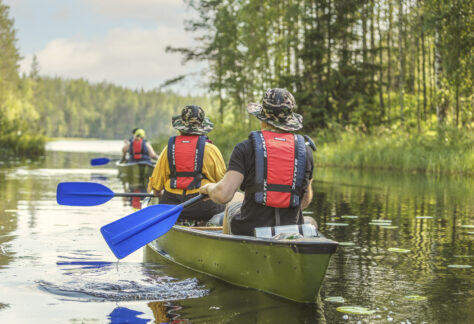melontaa avokanooteilla